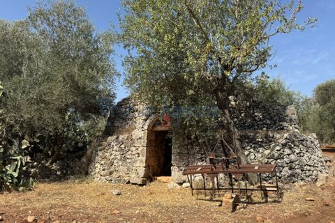 Farm hus i Ostuni, Brindisi, Ostuni - € 85.000 | Ref: 172956 - foto 13